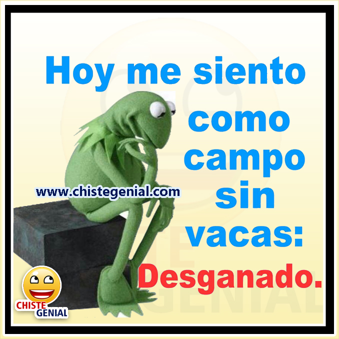 Chistes cortos: Hoy me siento como campo sin vacas: Desganado