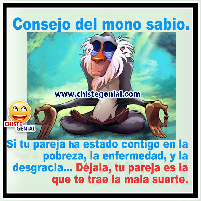 Chistes cortos buenos - Consejos del mono sabio. Chistes cortos buenos - Consejos del mono sabio.