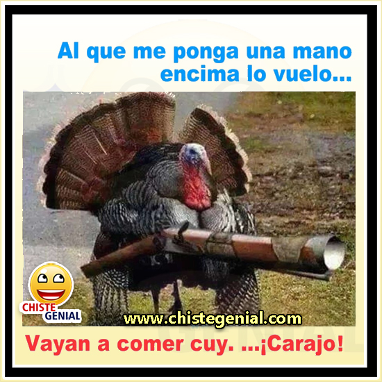 Chistes navideños - Pavo para navidad
