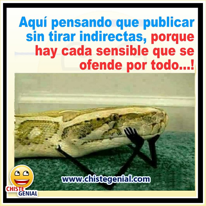 Chistes cortos - Aquí pensando que publicar sin tirar indirectas Chistes cortos - Aquí pensando que publicar sin tirar indirectas