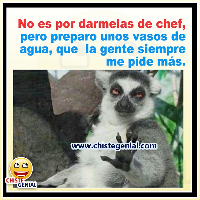 Chistes buenos - No es por darmela de chef