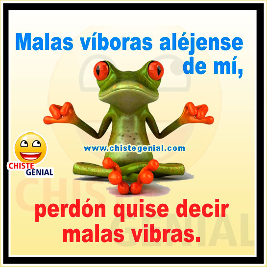 Chistes cortos buenos - Malas víboras alejense de mi Chistes cortos buenos - Malas víboras alejense de mi