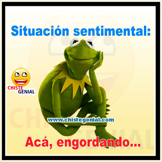 Chistes cortos buenos y divertidos - Situación sentimental Chistes cortos buenos y divertidos - Situación sentimental