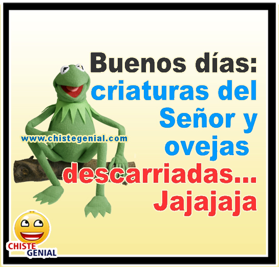 Buenos días criaturas del señor y ovejas descarriadas
