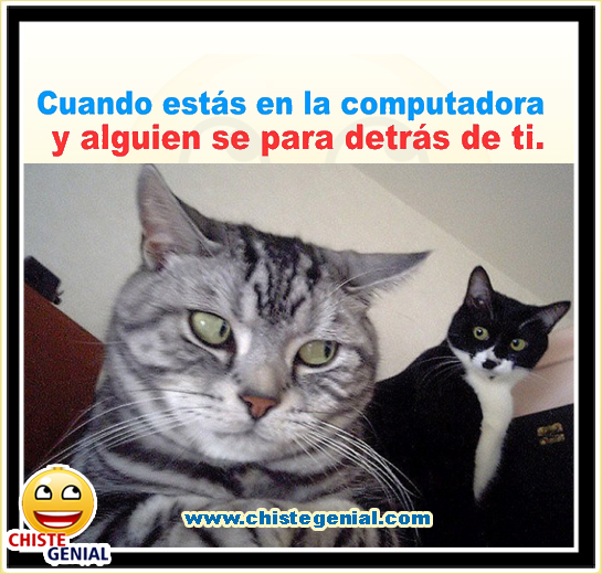 Chistes cortos divertidos - Cuando estás en la computadora Chistes cortos divertidos - Cuando estás en la computadora