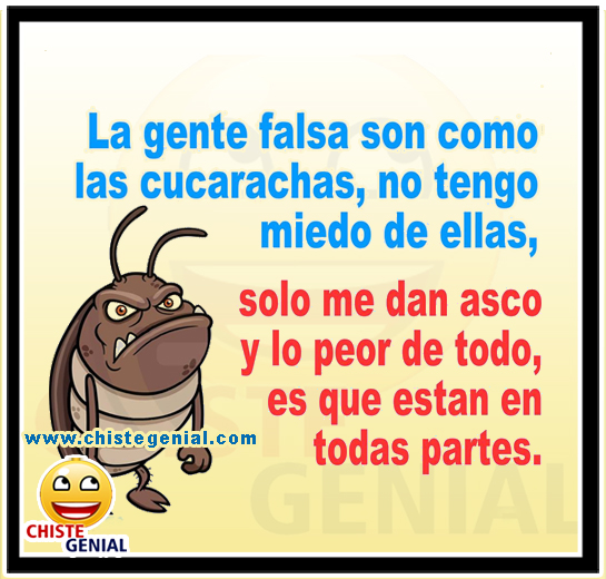 Chistes cortos - La gente falsa son como las cucarachas