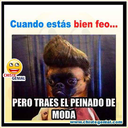 Chistes corto buenos y divertidos - Cuando estás bien feo Chistes corto buenos y divertidos - Cuando estás bien feo