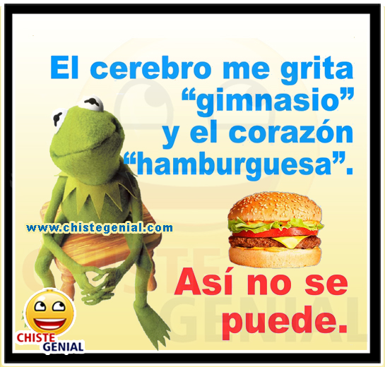 Chistes cortos buenos - El cerebro me grita Gimnasio Chistes cortos buenos - El cerebro me grita Gimnasio