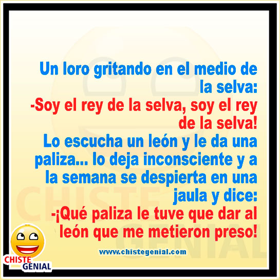 Chistes de animales - Un loro gritando en el medio de la selva. Chistes de animales - Un loro gritando en el medio de la selva.