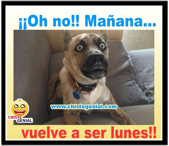 Chistes gràficos - ¡¡Oh no!! Mañana vuelve a ser lunes Chistes gràficos - ¡¡Oh no!! Mañana vuelve a ser lunes