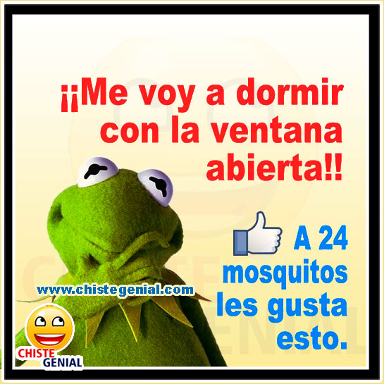 Chistes cortos - Me voy a dormir con la ventana abierta. Chistes cortos - Me voy a dormir con la ventana abierta.