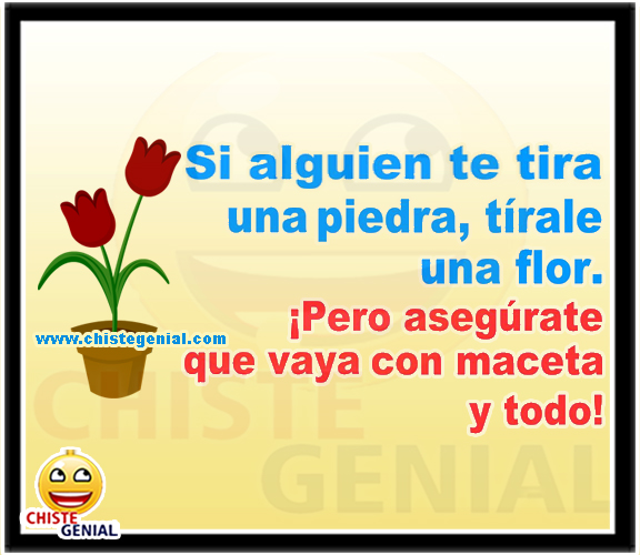 Chistes cortos - Si alguien te tira una piedra, tirale una flor. Chistes cortos - Si alguien te tira una piedra, tirale una flor.