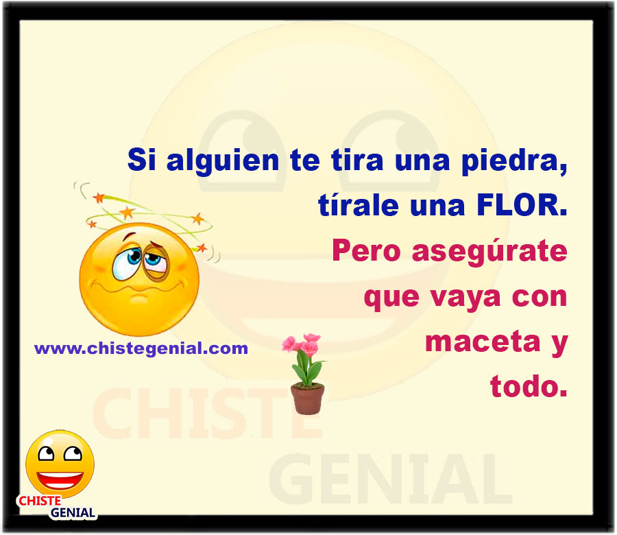 Si alguien te tira una piedra, tírale una flor. Pero asegúrate que vaya con maceta y todo.