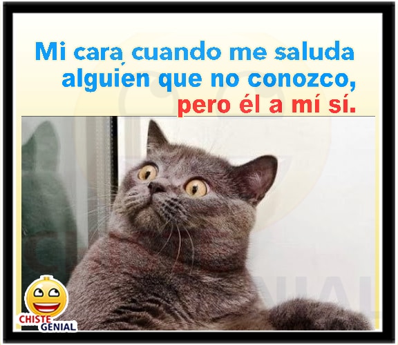 Chistes gráficos - Mi cara cuando me saluda alguien que no conozco Chistes gráficos - Mi cara cuando me saluda alguien que no conozco