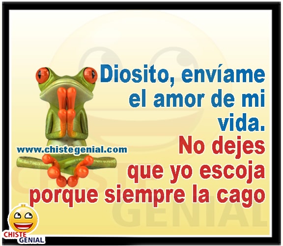 Chistes buenos - Diosito, envíame el amor de mi vida. Chistes buenos - Diosito, envíame el amor de mi vida.