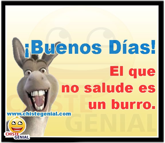 Chistes cortos - Buenos días, el que no salude es un burro Chistes cortos - Buenos días, el que no salude es un burro