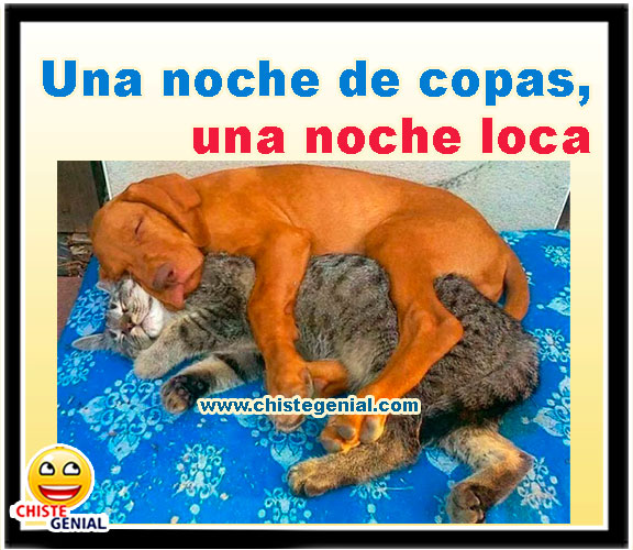 Una noche de copas, una noche loca