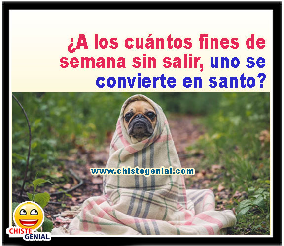 ¿ A los cuantos fines de semana sin salir uno se convierte en santo ?.