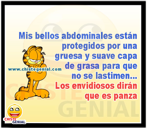 Mis bellos abdominales están protegidos