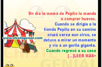 Pepito va a comprar huevos - Chistes de Pepito