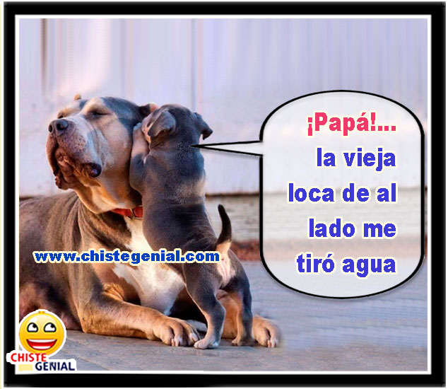 Papá la vieja loca de al lado me tiró agua