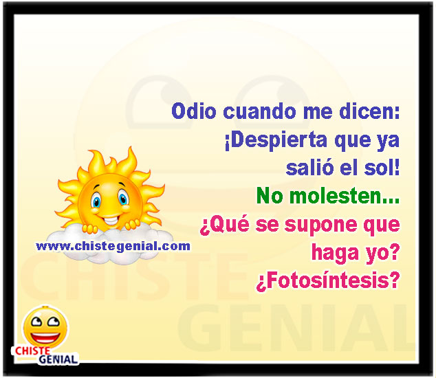Odio cuando me dicen: ¡Despierta que, ya salió el sol! No molesten... ¿Qué se supone que haga yo? ¿Fotosíntesis?