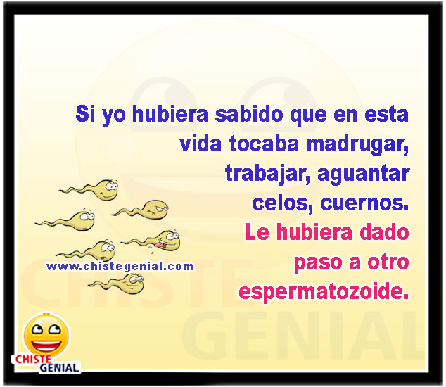 Si yo hubiera sabido que en esta vida tocaba madrugar, trabajar, aguantar celos, cuernos. Le hubiera dado paso a otro espermatozoide.
