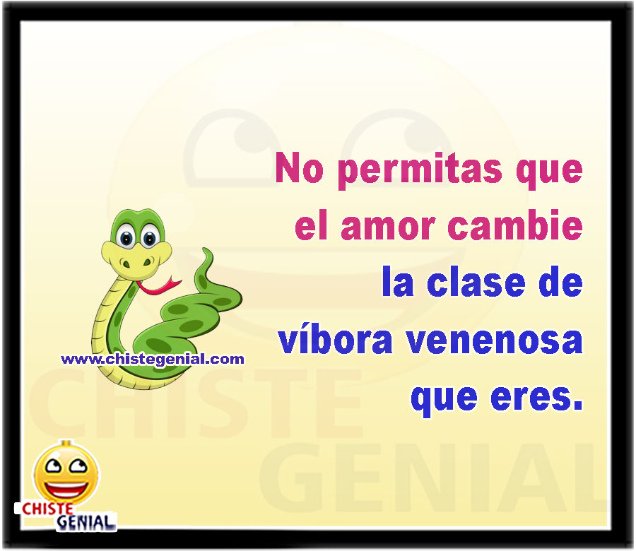 No permitas que el amor cambie la clase de víbora venenosa que eres.
