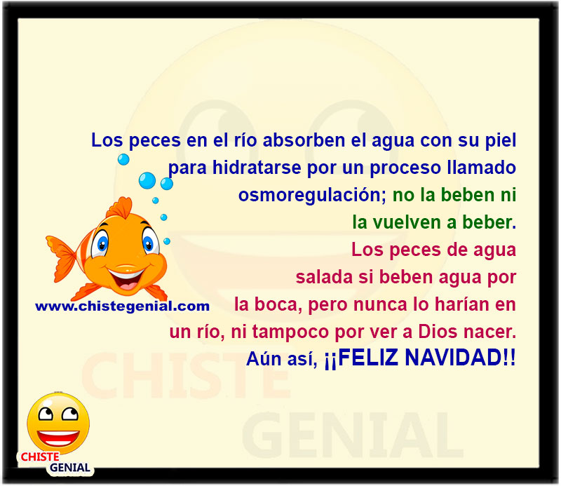 Los peces en el río absorben el agua con su piel para hidratarse por un proceso llamado osmorregulación; no la beben ni la vuelven a beber. Los peces de agua salada si beben agua por la boca, pero nunca lo harían en un río, ni tampoco por ver a Dios nacer. Aún así, ¡¡FELIZ NAVIDAD!!